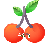  48Pg